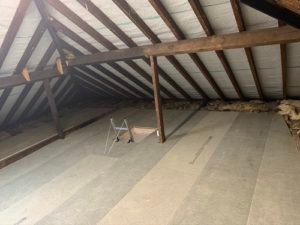 attic pest control Macon GA